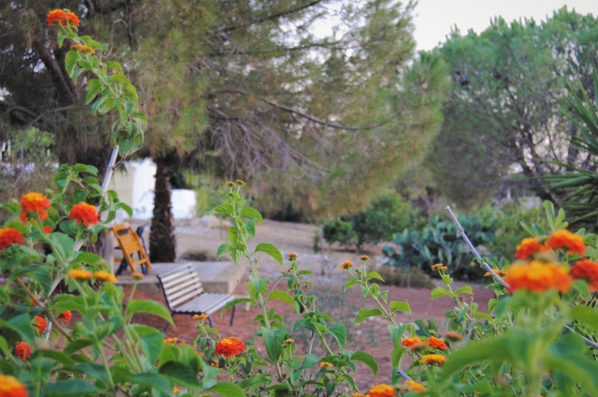 Villa Carola Галиполи Екстериор снимка